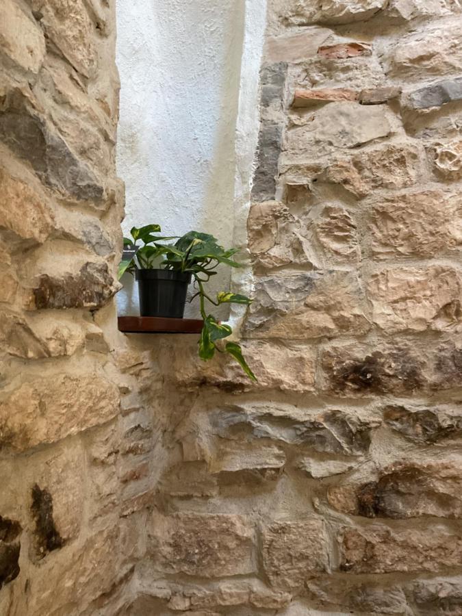 Apartament Place Aux Herbes Nîmes Zewnętrze zdjęcie